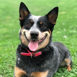 Meet your Posher, Kaye